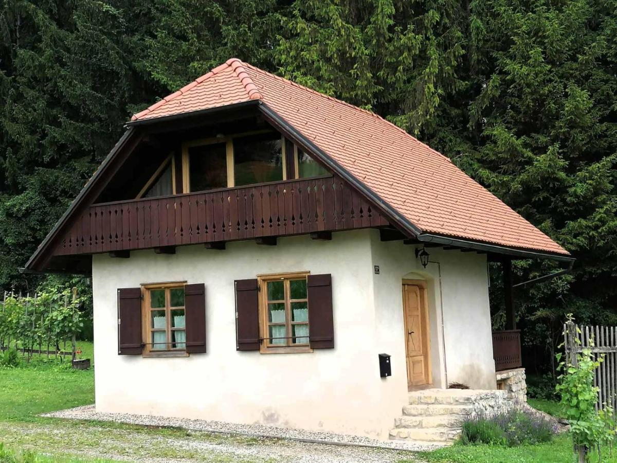 Holiday House Apartment Voukov Mlin Smarje pri Jelsah Extérieur photo