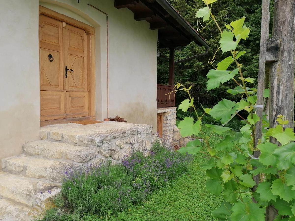 Holiday House Apartment Voukov Mlin Smarje pri Jelsah Extérieur photo